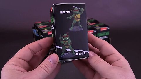 Diamond Select Teenage Mutant Ninja Turtles DFormz ENTIRE CASE UNBOXING! @TheReviewSpot