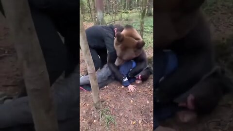 Russians Wrestling 🐻 BIG BEAR 😅