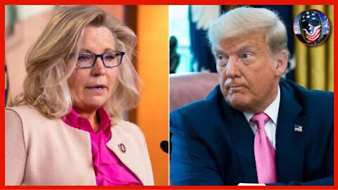 President Trump EXPELS Adam Kinzinger & Liz Cheney From The Republican Party!