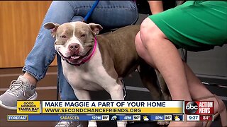 Rescues in Action Aug. 10 | Make Maggie your own