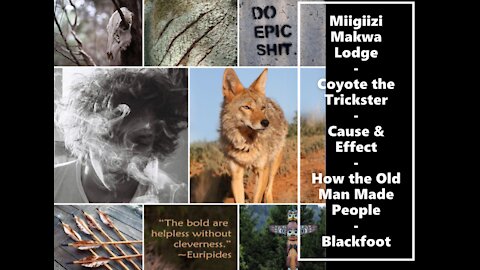 Miigiizi Makwa 8th Fire Lodge: How the Old Man Made People - A Blackfoot Story. #CoyoteMedicine