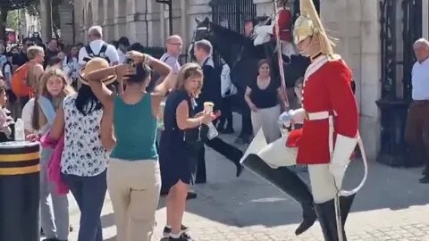 Seven foot guard #horseguardsparade