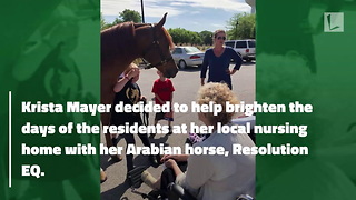 Elderly Man's Face Lights Up When Nursing Home Bring Horse Inside To See Him