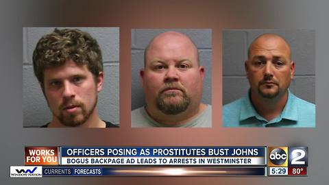 Officers posing as prostitutes bust johns