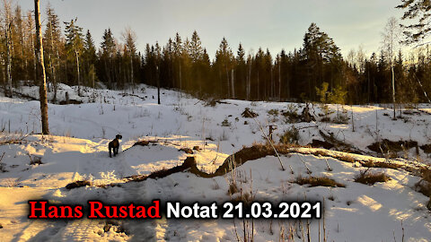 Hans Rustad notat 21.03.2021 Krenkelsesfenomenet