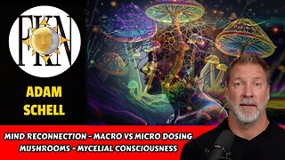 Mind Reconnection - Macro vs Micro Dosing Mushrooms - Mycelial Consciousness | Adam Schell