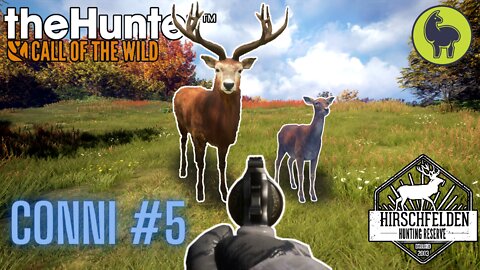 The Hunter: Call of the Wild, Conni #5 Hirschfelden (PS5 4K)