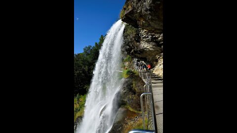 #kanyakumari #shorts #whatsappstatus #forest #waterfall #yuvan #yuvanshankarraja #falls #nature