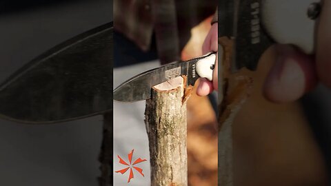 Survival Knife Defeats Axe #KnifeCenter #shorts