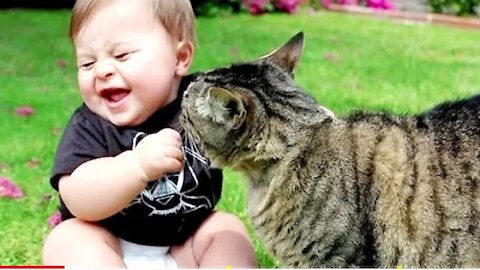 Funny Cats And Babies Playing Together ★ Animals Trolling Babies kkk