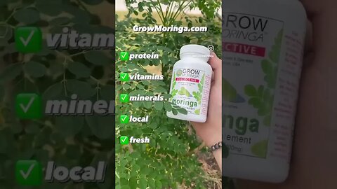 USA Moringa Wins