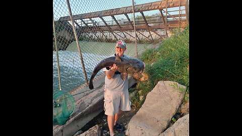 32 Lb Flathead – Another Monster, Wipers, Bass and Crappie – 9/12/2024