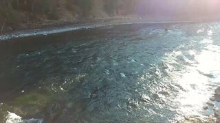 The Yellowstone River and Lower Falls