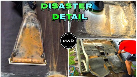 24 Hour Disaster Detail | Deep Cleaning A Roach Infested Pilot | Extreme Interior Restoration!!