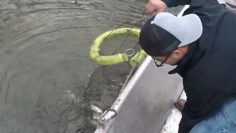 East TX winter creek crappie.