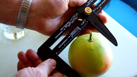 Measuring Citrus Fruit