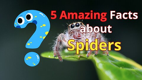 5 Amazing Spider Facts | How many legs and eyes in spider | Use of spider web