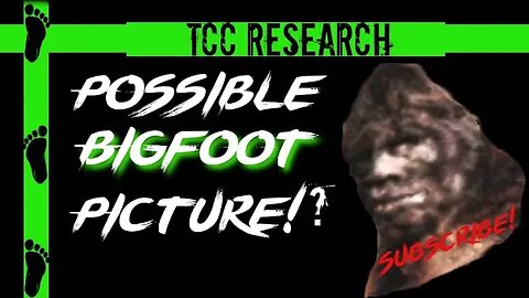 Possible Bigfoot Photo from VA | Enhancement