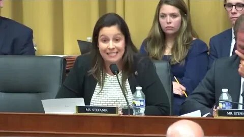 Stefanik questions witness at Weaponization hearing on 2020 election interference