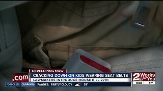 Lawmakers introduce seatbelt bill