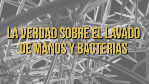 La Verdad Sobre El Lavado De Manos y Bacterias