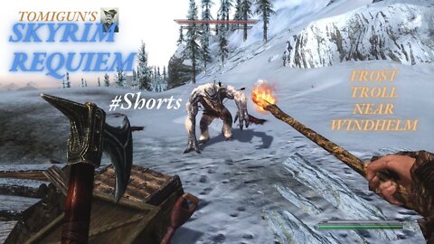 Skyrim Requiem Short Scene: Frost Troll Near Windhelm