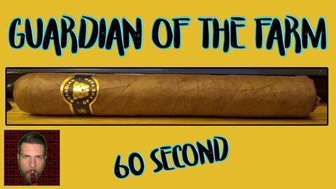 60 SECOND CIGAR REVIEW - Guardian of the Farm