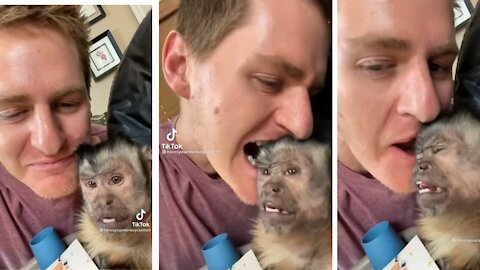 Monkeys reacts for his owner trying to eat his head *CRUNCHY*