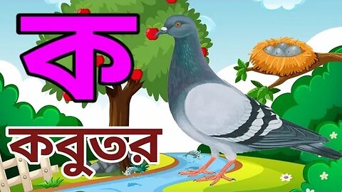 ক তে কবুতর খ তে খরগোশ | ব্যঞ্জনবর্ণ - ক খ | Bangla Alphabets | ক খ গ ঘ ঙ বাংলা।ক খ। Anisha tv83 ।