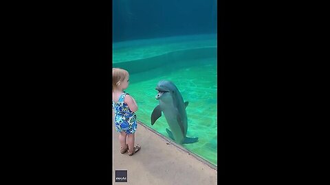 Little girl and super social dolphin stop to have a sweet chat | Humankind #shorts #goodnews