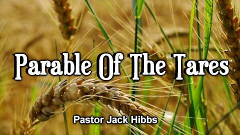 Parable Of The Tares