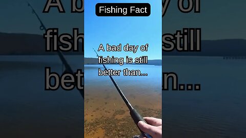 Fishing Facts #shorts #fishing #fishingfanatics