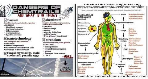 Confessions of Biologists, Chemtrail Toxicity is Absolutely Devastating to The Environment