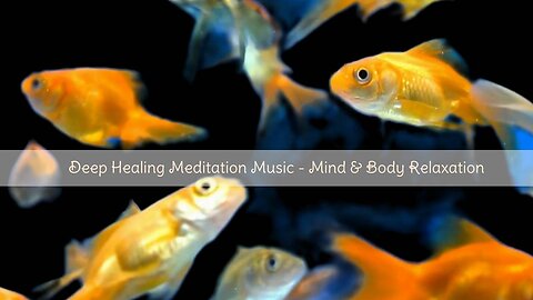 Deep Healing Meditation Music - Mind & Body Relaxation