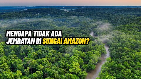 Mengapa Tidak Ada Jembatan di Sungai Amazon?