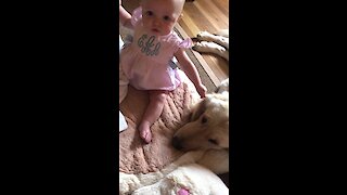 Adorably baby girl gently tugs on Golden Retriever's ear