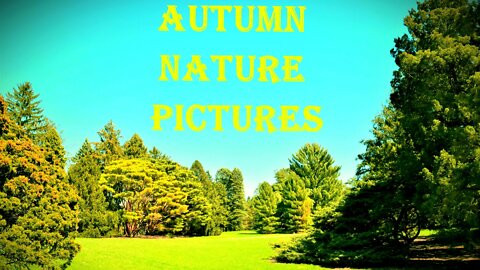 Autumn Nature Pictures and Relaxing Native American Flute Music