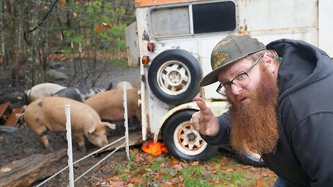 Man Vs Pigs: Trailer Edition