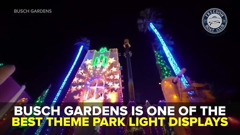 Busch Gardens is one the best theme park light displays | Taste and See Tampa Bay