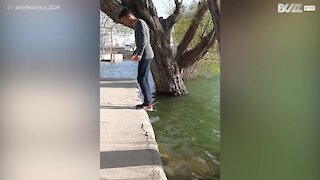 Son acrobatie lui fait frôler l'eau sans y tomber !