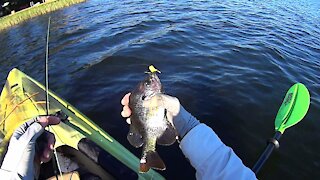 Kayak Fly Fishing Review of Lake Daisy in Polk County, Florida