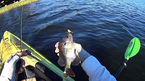 Kayak Fly Fishing Review of Lake Daisy in Polk County, Florida