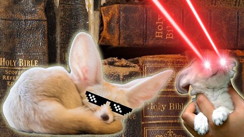 How to Be a Berean: A Fennec Fox Guide