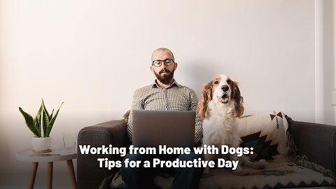 Working from Home with Dogs: Tips for a Productive Day 🐾