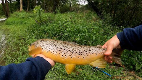 Big Fishing Creek Has Some Huge Trout