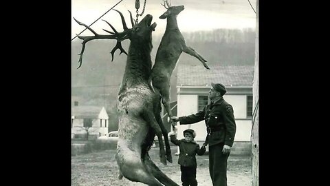 64 Vintage hunting photos that show life in another era