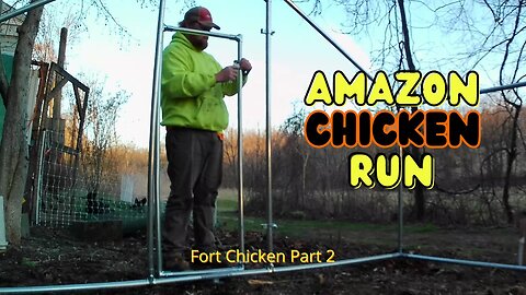 Putting Together a Chicken Run From Amazon | Fort Chicken Part 2