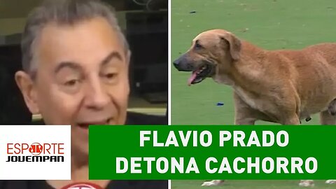 Flavio Prado detona CACHORRO invasor e causa POLÊMICA!