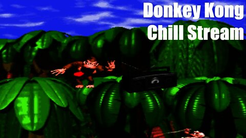 Donkey Kong | Chill Stream