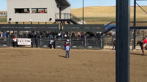 Bronc Ride at Rodeo